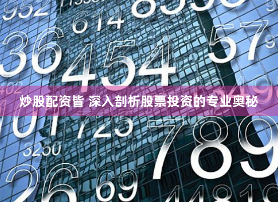 炒股配资皆 深入剖析股票投资的专业奥秘