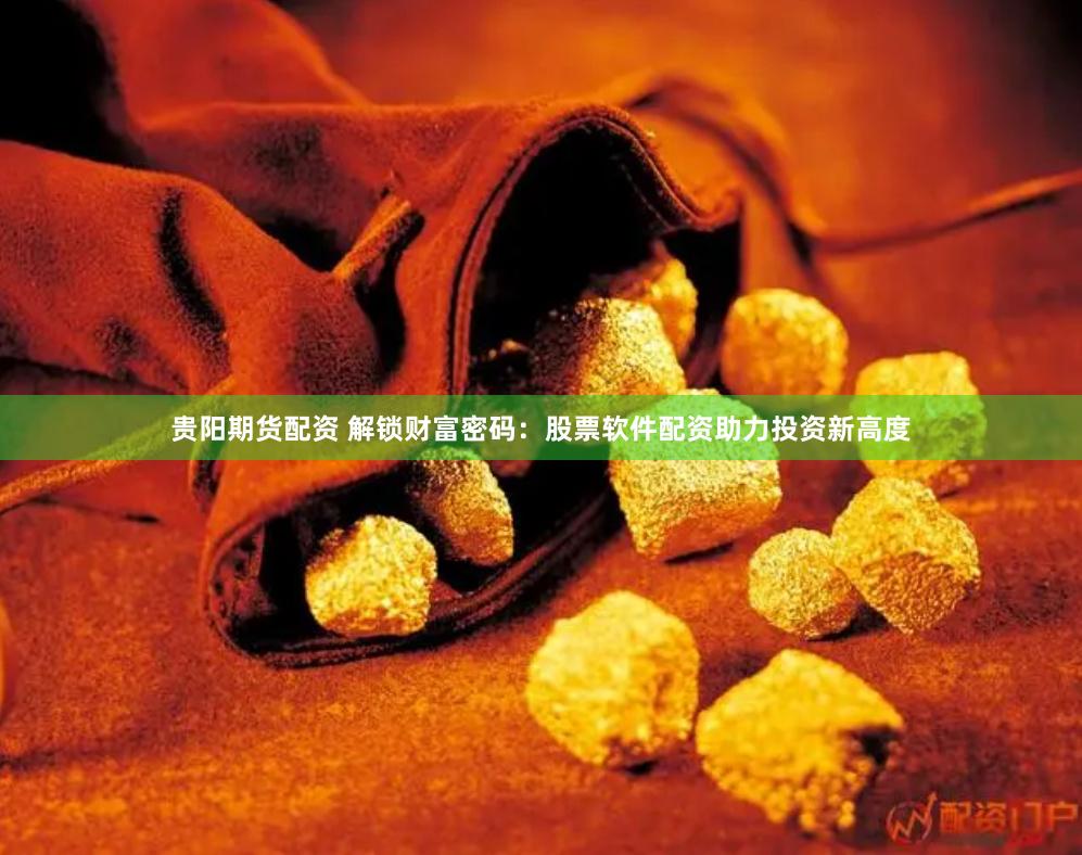 贵阳期货配资 解锁财富密码：股票软件配资助力投资新高度