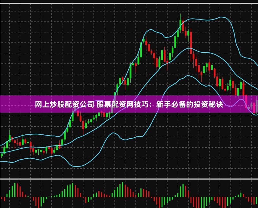 网上炒股配资公司 股票配资网技巧：新手必备的投资秘诀