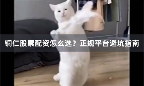 铜仁股票配资怎么选？正规平台避坑指南