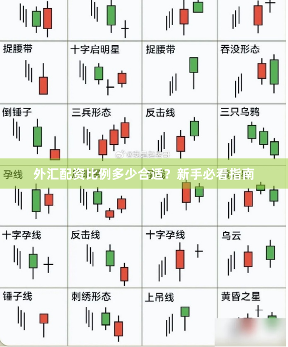 外汇配资比例多少合适？新手必看指南